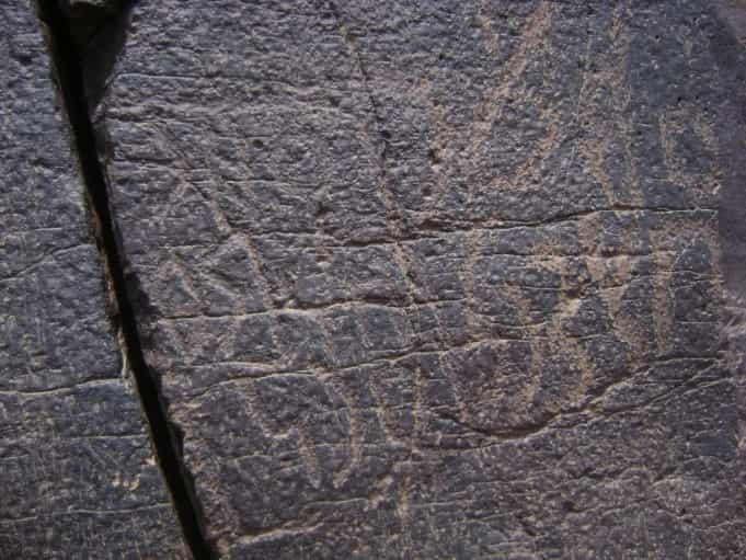 الشرعي ضركام11